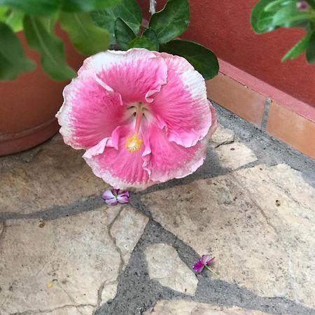 Hotel Buena Vista Copán Eksteriør bilde