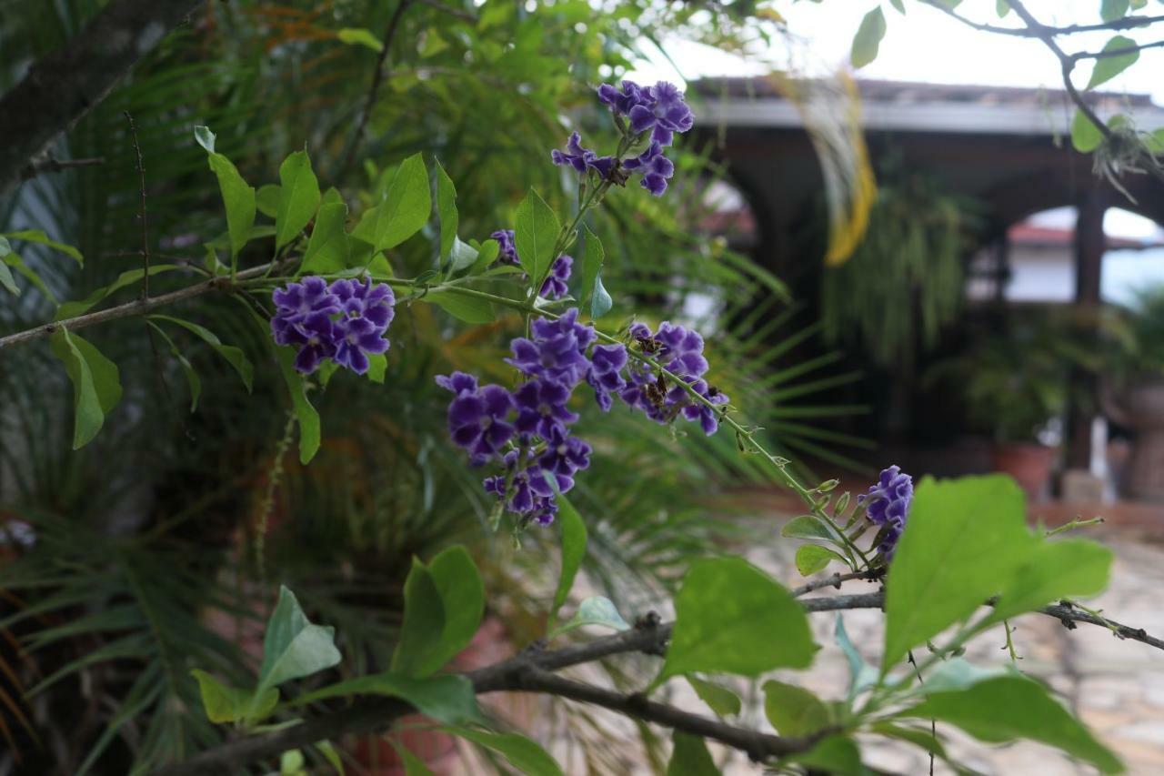 Hotel Buena Vista Copán Eksteriør bilde